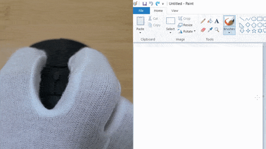 Rotary Mouse Tracking Precision